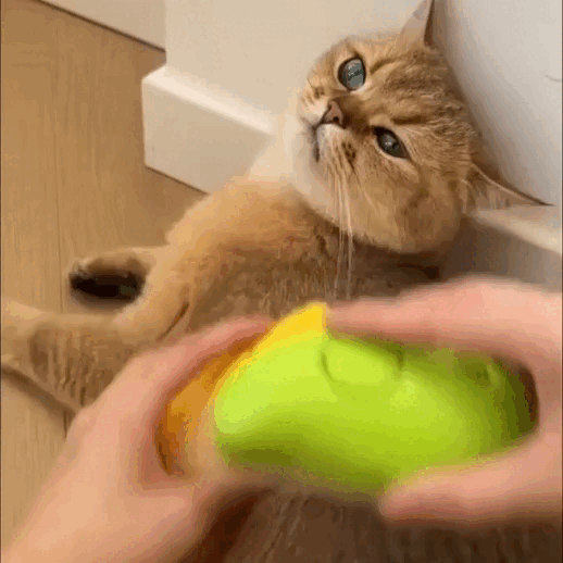 Cepillo de Vapor 3 en 1 para Gatos – Limpieza, Masaje y Desenredo Profesional